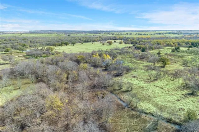 a view of a city with lush green forest