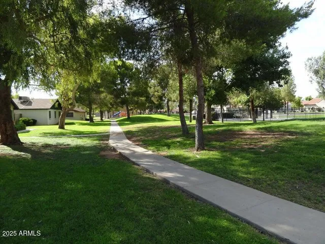 a view of a park with trees and grass