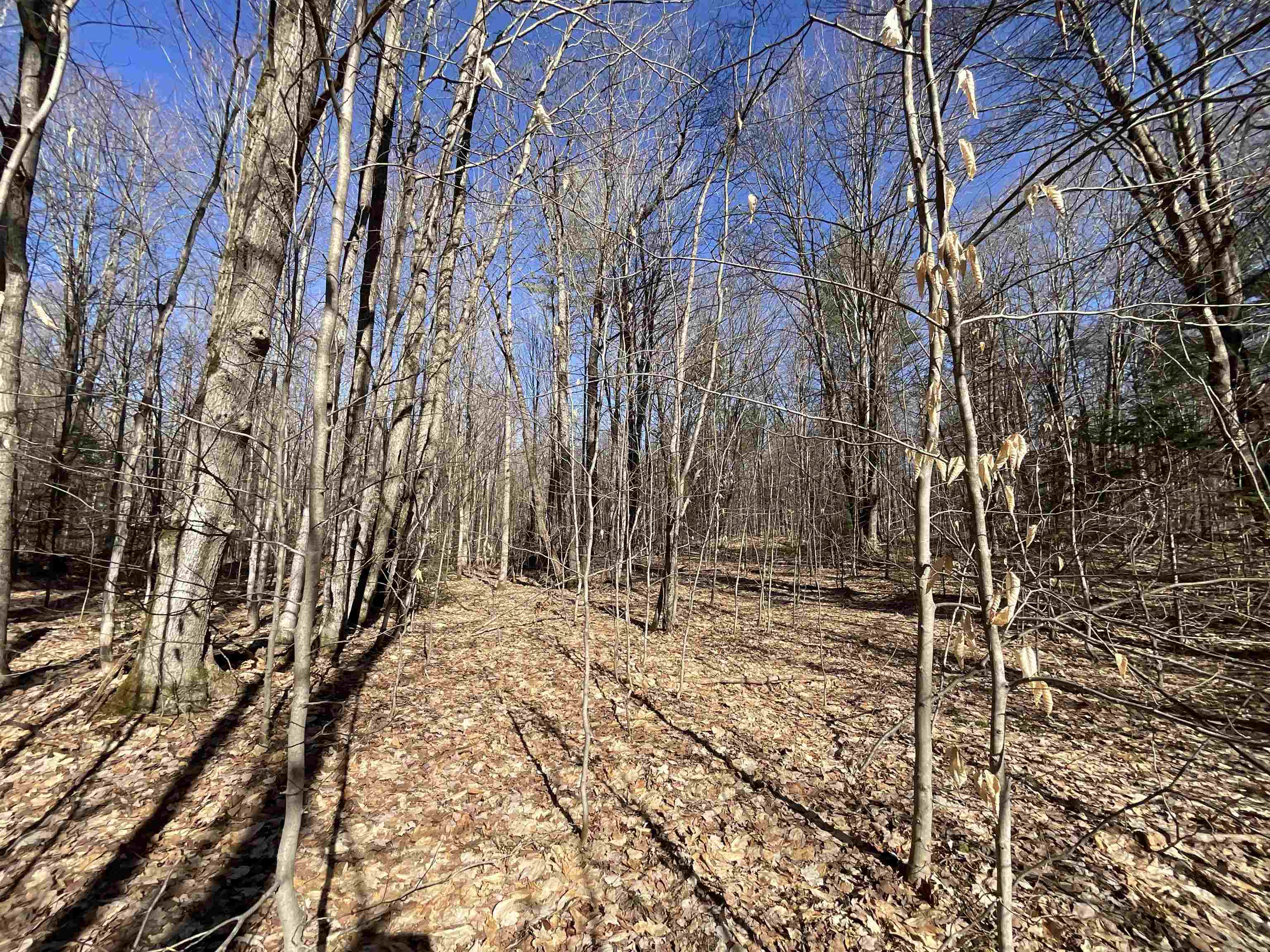 V/l Tower Road Northeast Kalkaska, MI 49646 - Photo 10 of 15