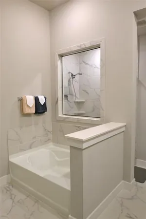 a bathroom with a bathtub and a shower