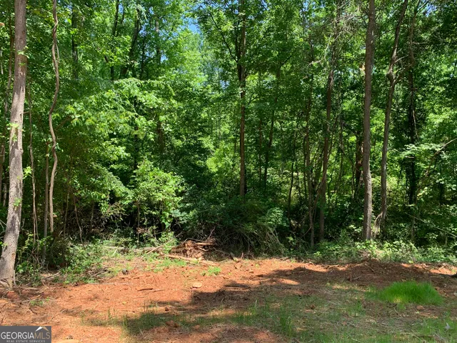 a view of a yard with plants and trees