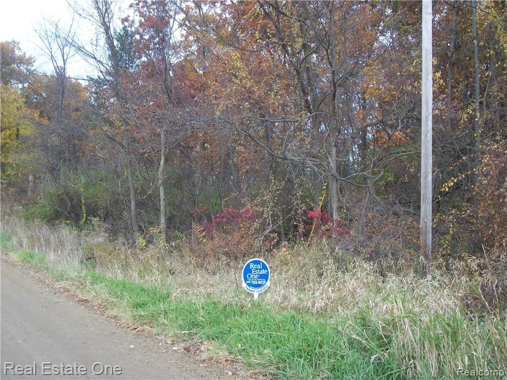 Par A South Jossman Road Ortonville, MI 48462 - Photo 1 of 2