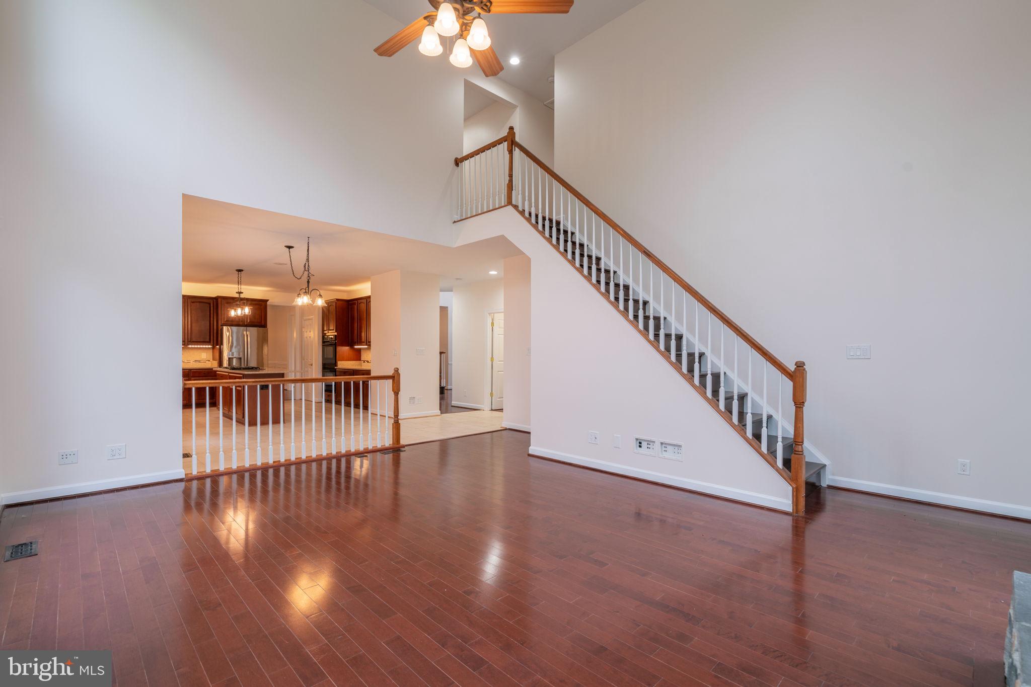 8038 Holland Road Alexandria, VA 22306 - Photo 9 of 62 Gallery Image 9