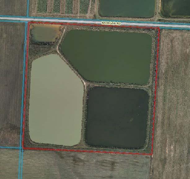 - Morgan Road Walnut Hill, FL 32568 - Photo 1 of 1 Gallery Image 1