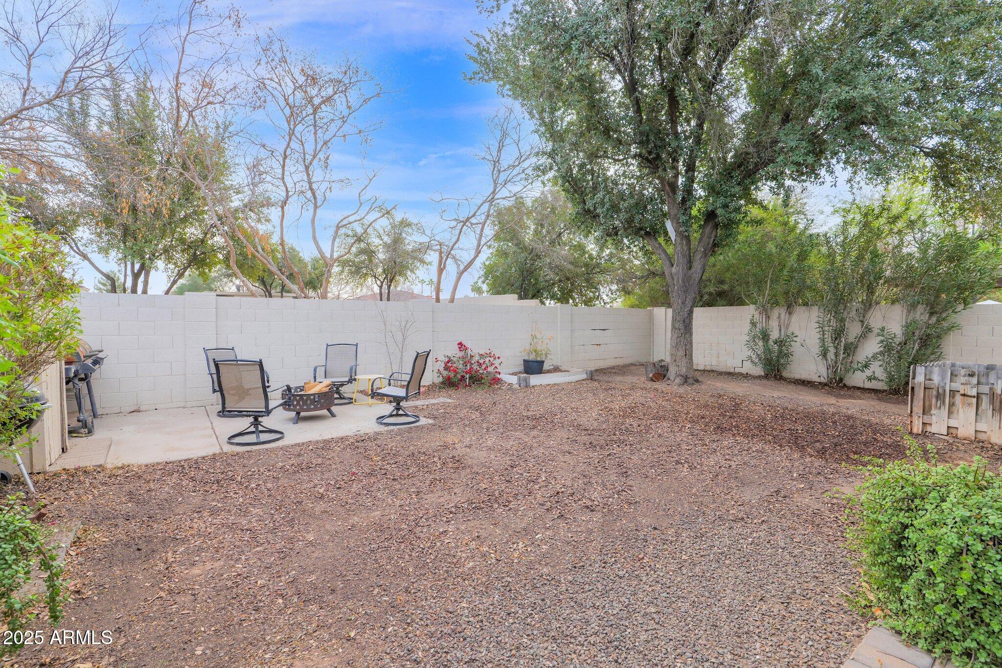 473 South Ash Street Gilbert, AZ 85233 - Photo 26 of 27 24 - Back Yard - 5