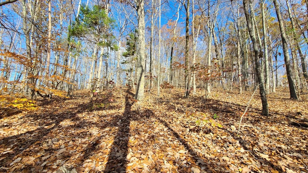 Welsh Mt Road, Unit 7 & 8 Shipman, VA 22971 - Photo 20 of 23 Gallery Image 20