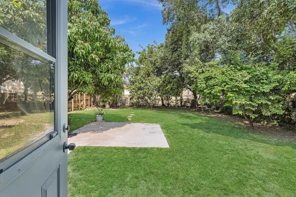 a view of a yard with a tree
