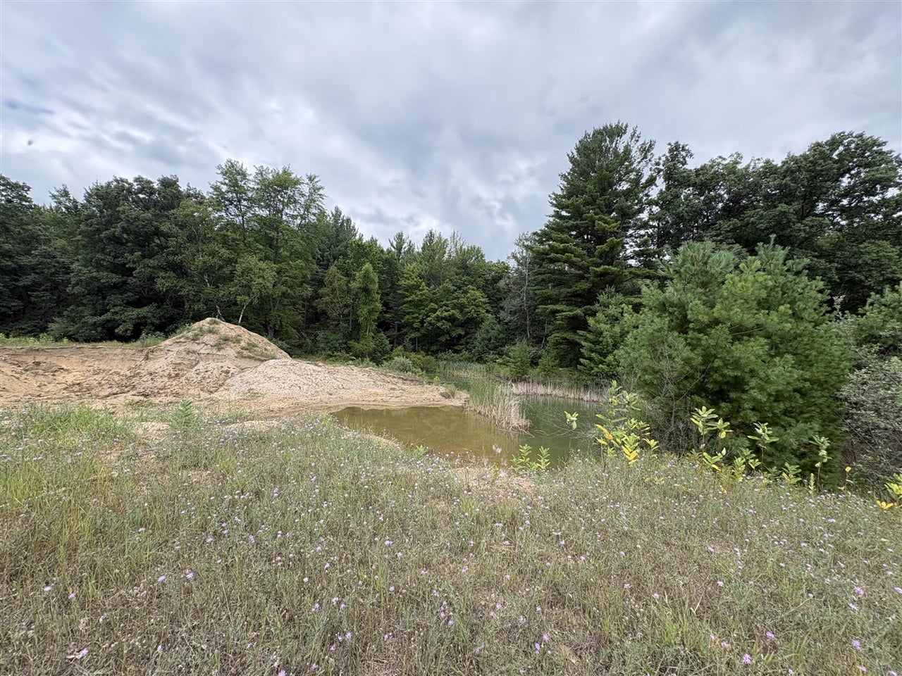 5 5 Mile Road Howard City, MI 49329 - Photo 3 of 99 Gallery Image 3