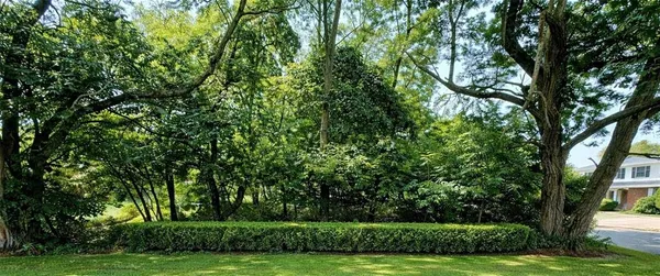 a view of a park