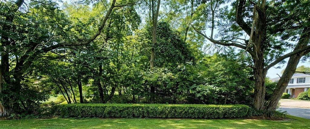 502 13th Street North Apollo, PA 15673 - Photo 3 of 4 a view of a yard with plants and trees