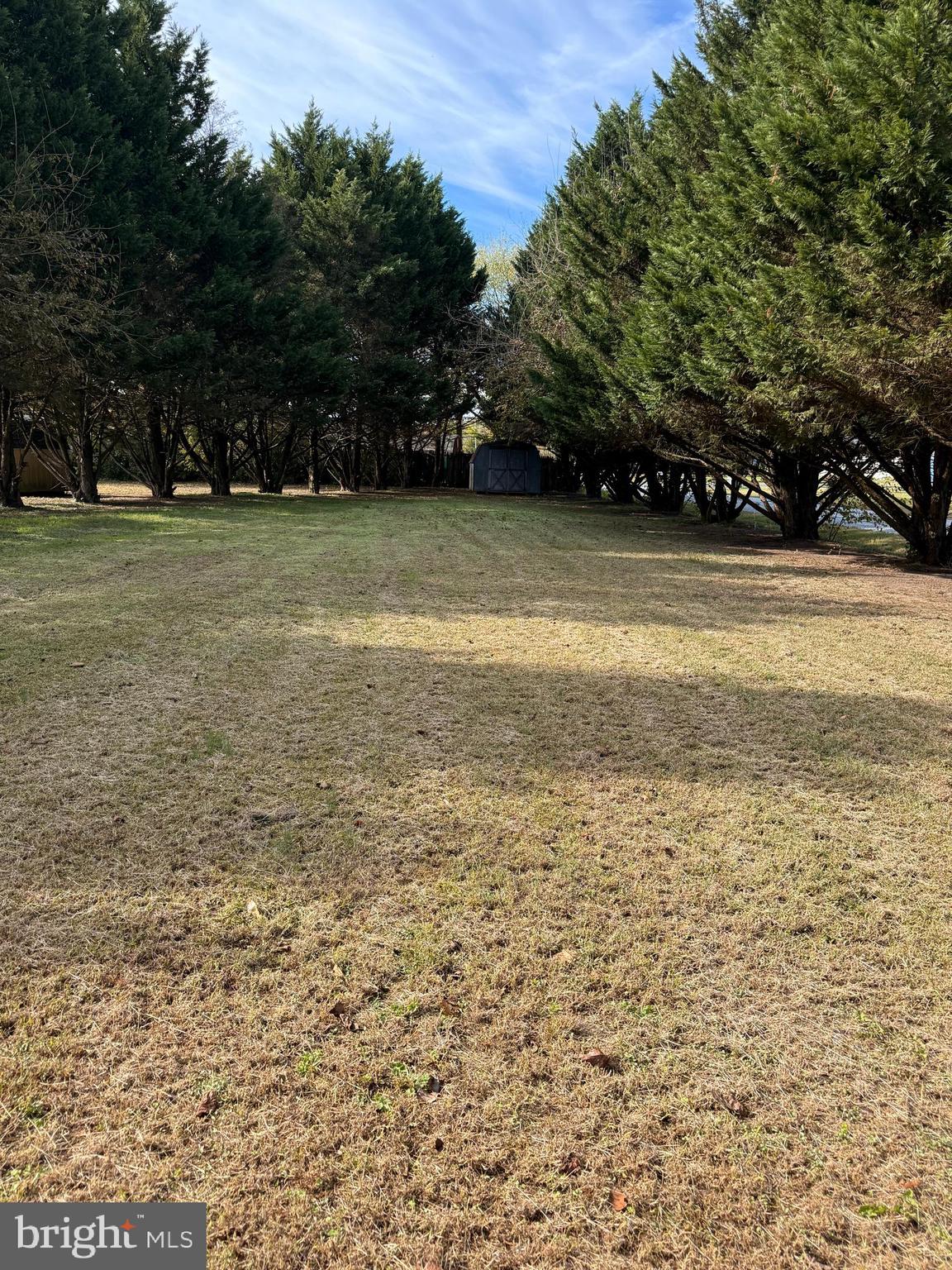 590 Lobo Road Harrington, DE 19952 - Photo 5 of 28 Side Yard