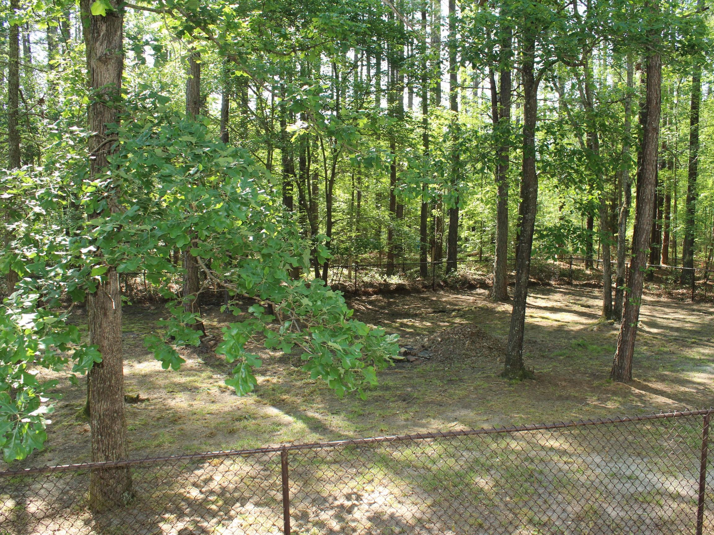 375 Aiken Road Vass, NC 28394 - Photo 42 of 55 IMG_8191