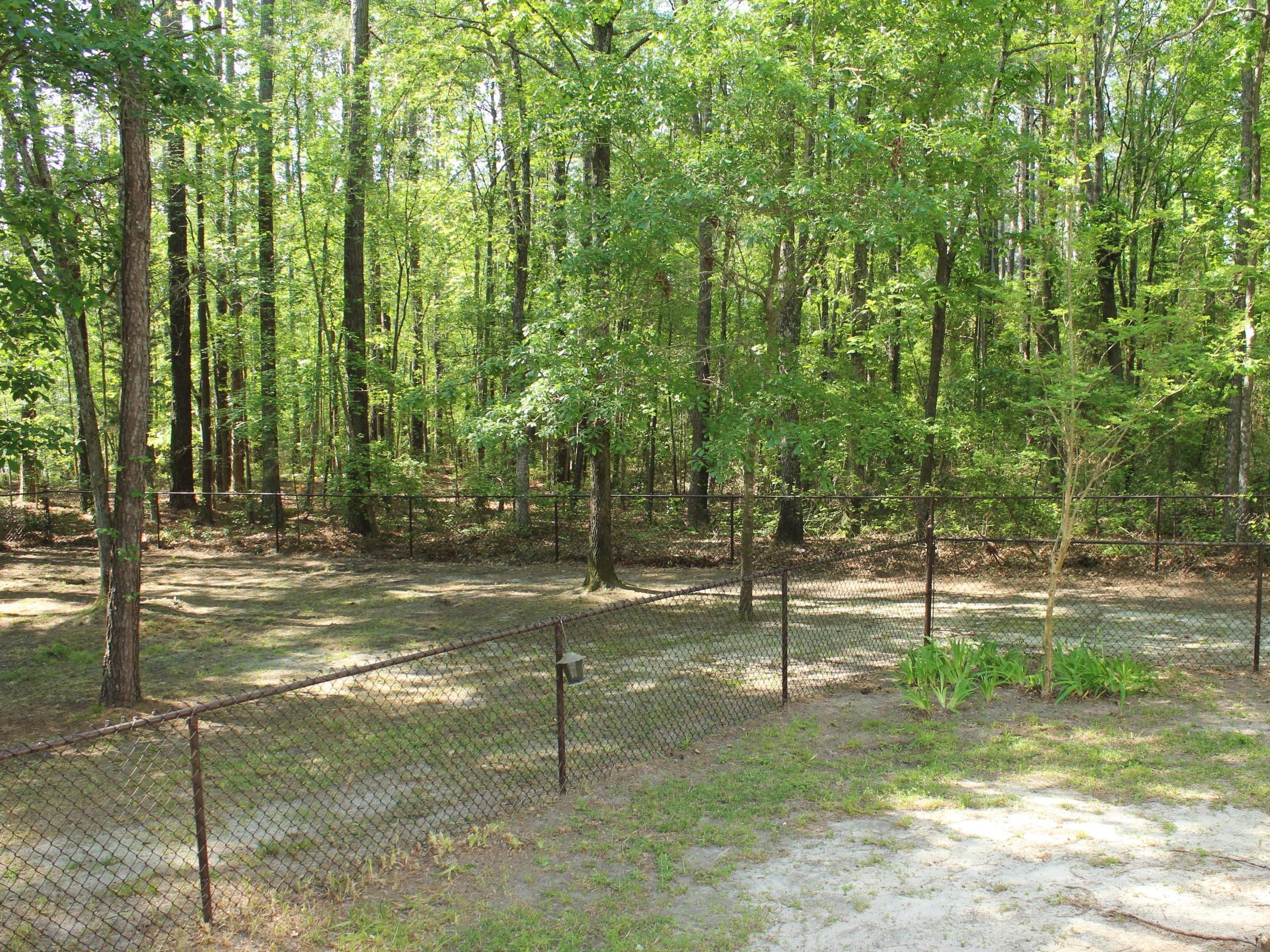 375 Aiken Road Vass, NC 28394 - Photo 43 of 55 IMG_8190