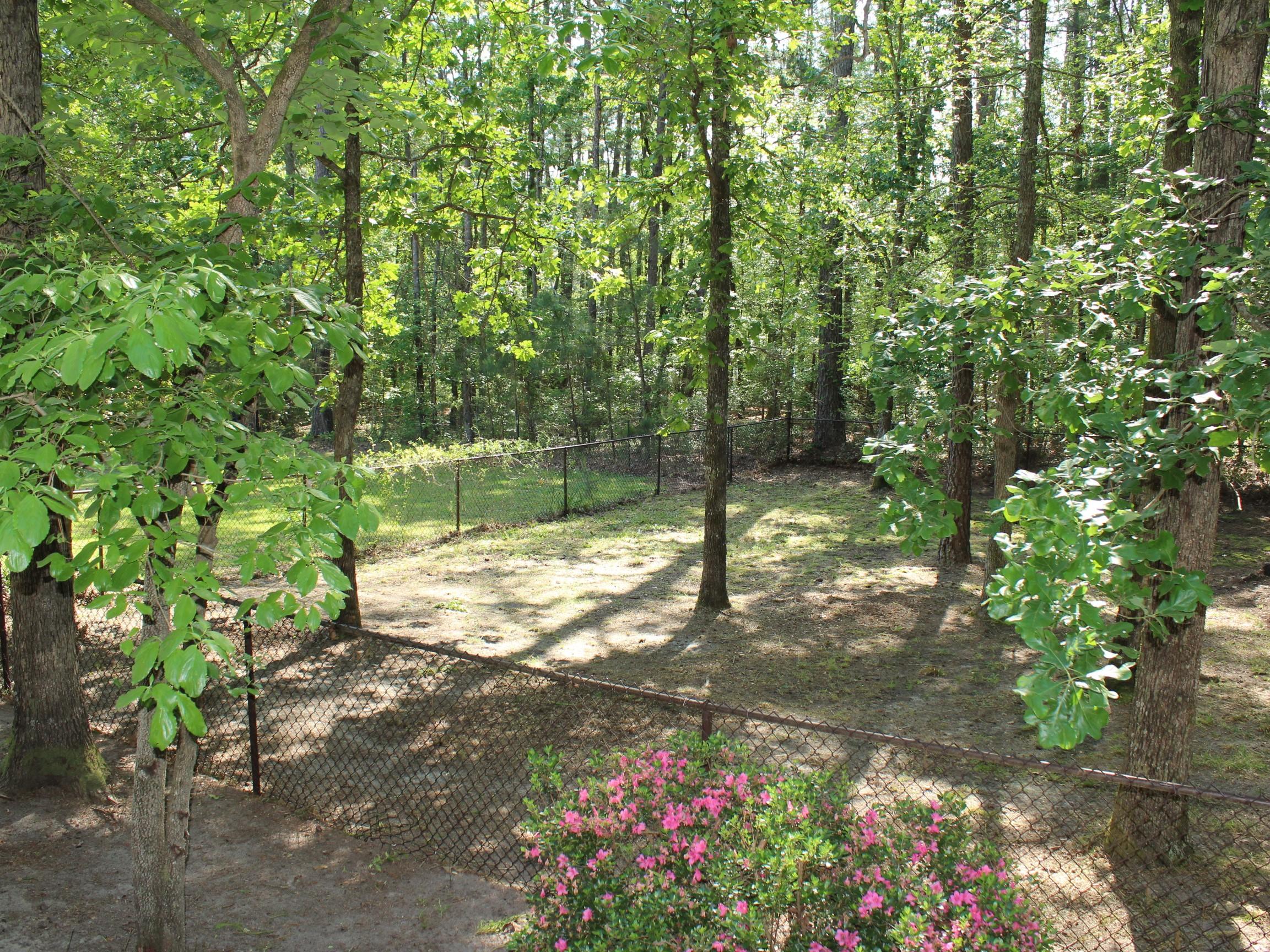 375 Aiken Road Vass, NC 28394 - Photo 44 of 55 IMG_8192