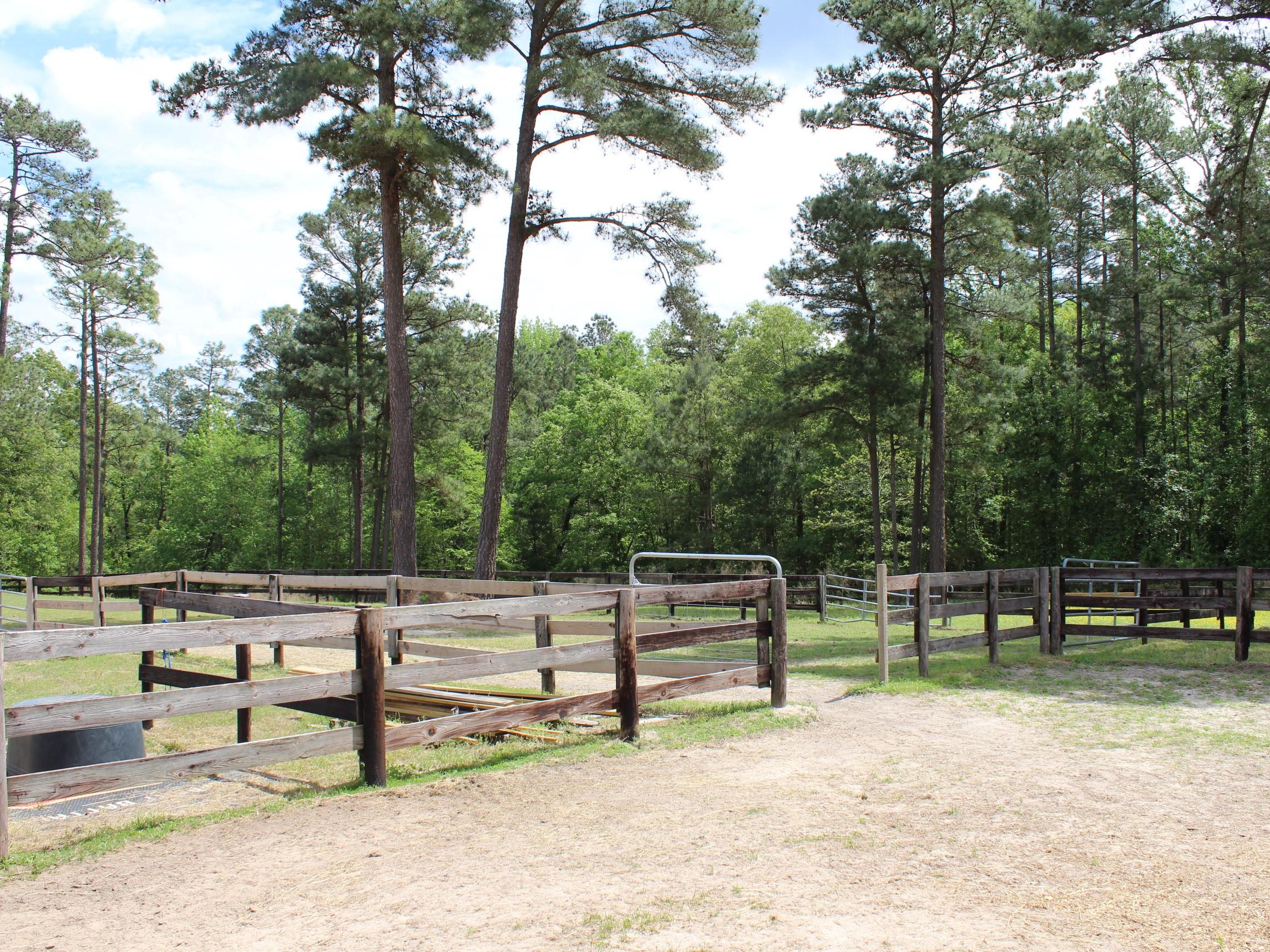 375 Aiken Road Vass, NC 28394 - Photo 52 of 55 IMG_8114
