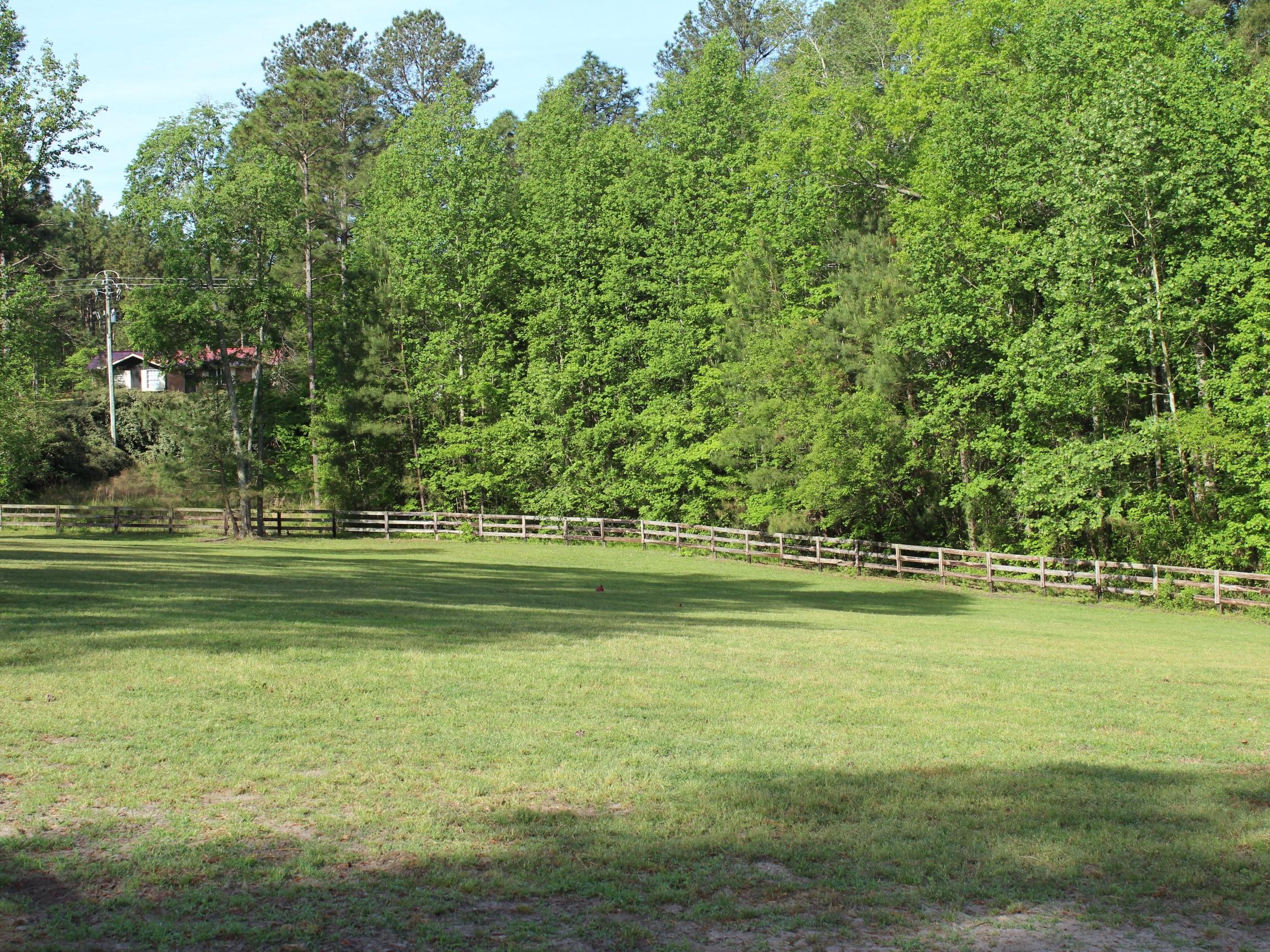 375 Aiken Road Vass, NC 28394 - Photo 54 of 55 IMG_8199
