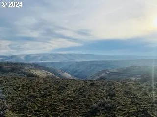 a view of a dry yard