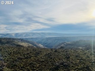 a view of a dry yard