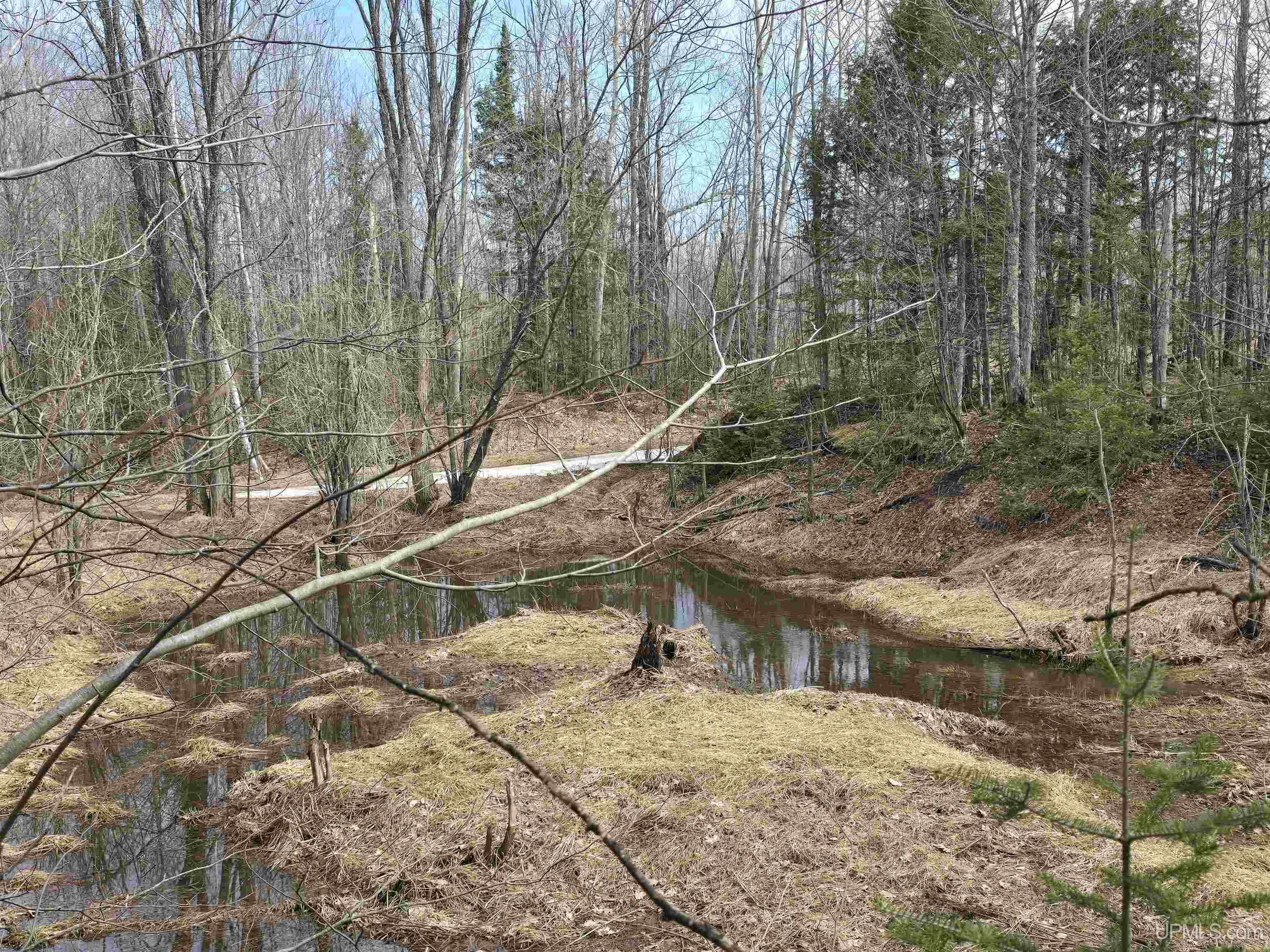 Tbd Woodspur Road Ontonagon, MI 49953 - Photo 15 of 46