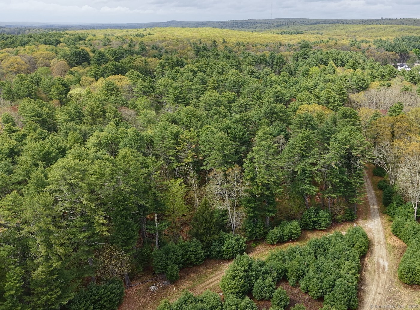 a view of a yard with an outdoor space