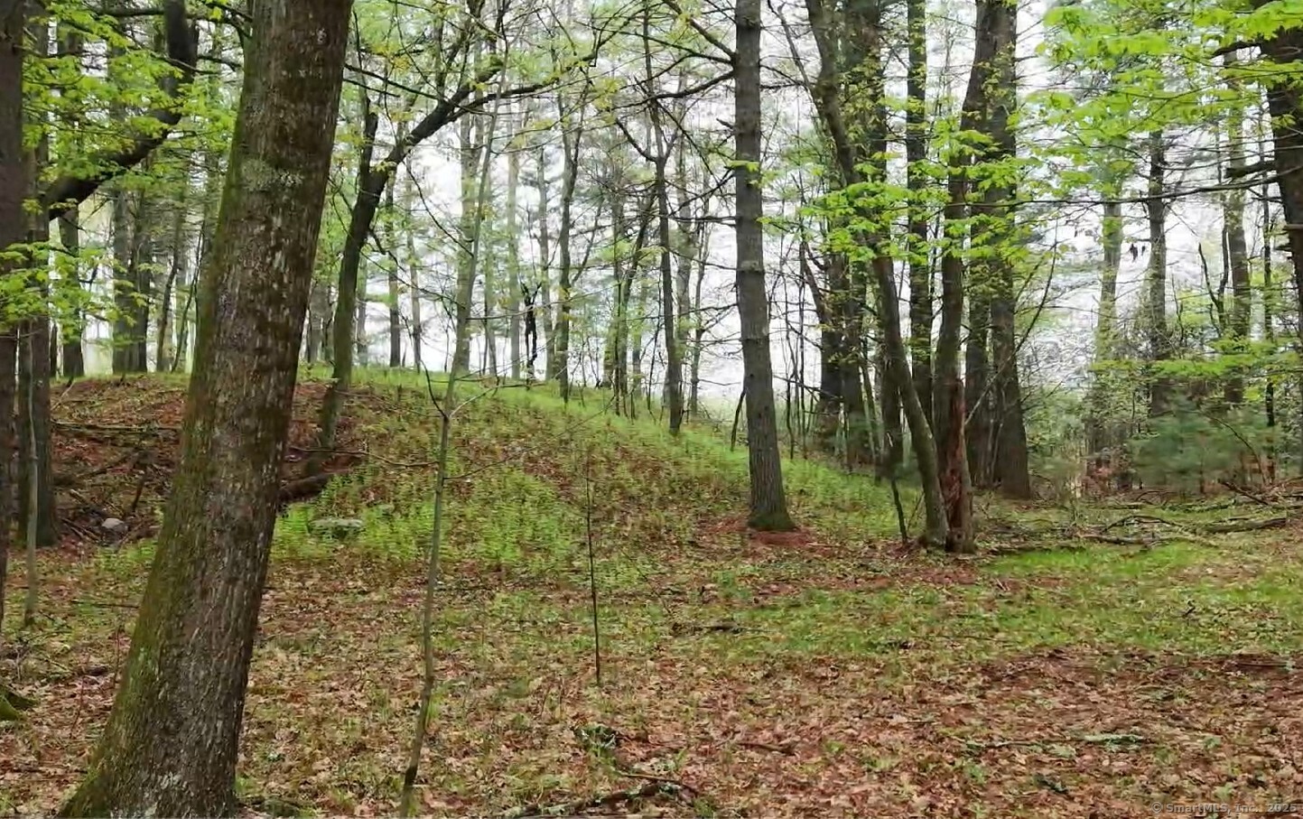 597 East Thompson Road, Unit LOT 10C Thompson, CT 06277 - Photo 11 of 13 a backyard of a house with lots of green space