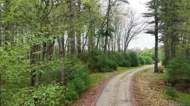 a big yard with lots of green space