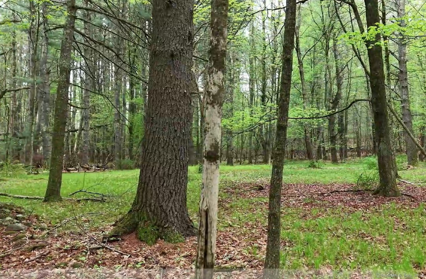 597 East Thompson Road, Unit LOT 10C Thompson, CT 06277 - Photo 4 of 13 a view of a trees in a yard