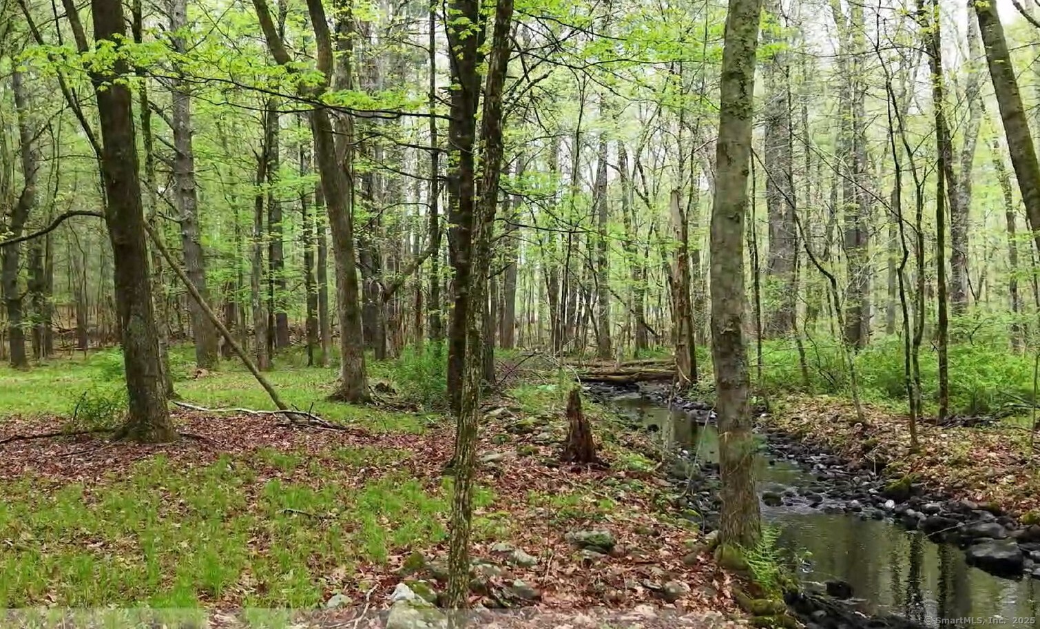 597 East Thompson Road, Unit LOT 10C Thompson, CT 06277 - Photo 5 of 13 a view of yard