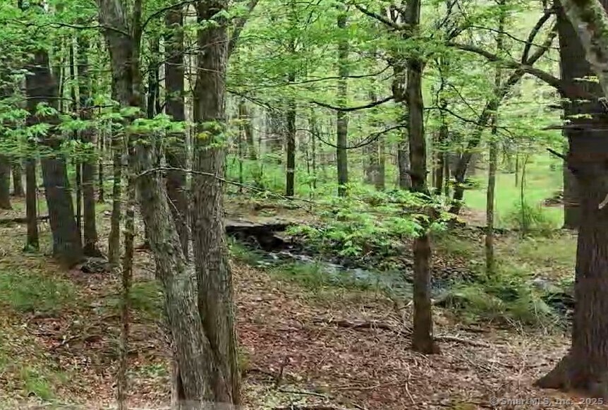 597 East Thompson Road, Unit LOT 10C Thompson, CT 06277 - Photo 6 of 13 a view of yard