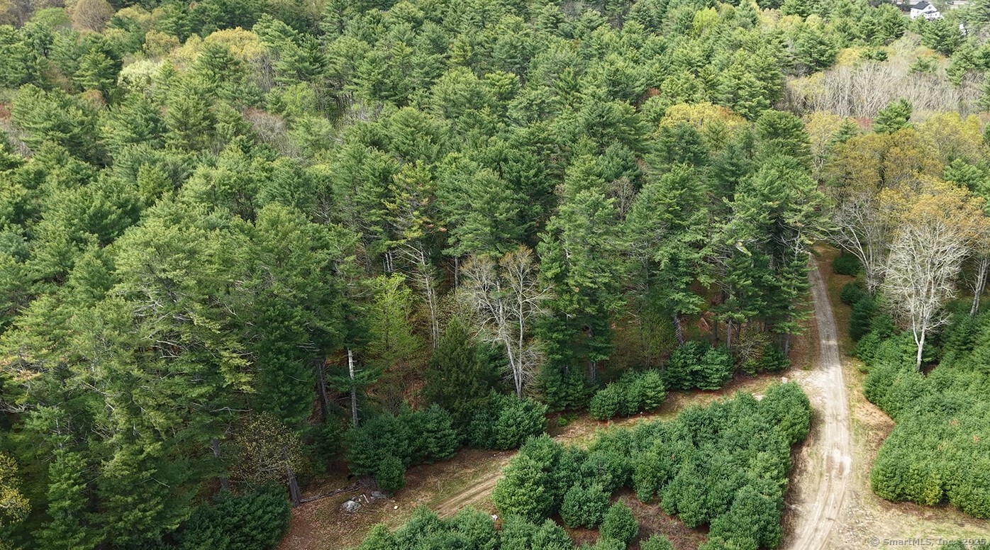 597 East Thompson Road, Unit LOT 10C Thompson, CT 06277 - Photo 10 of 13 a view of a forest with a tree