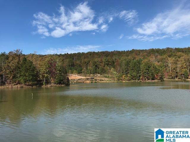 2 Ridgeline Drive, Unit 2 Calera, AL 35040 - Photo 1 of 6