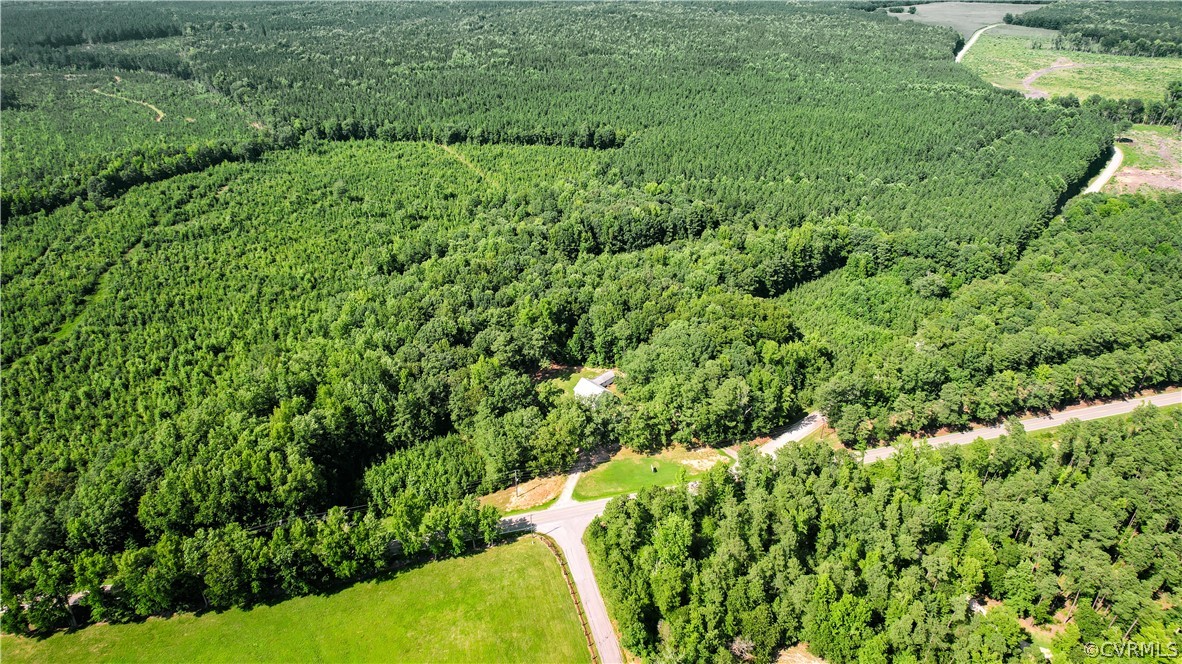 23516 Cherry Hill Road McKenney, VA 23872 - Photo 2 of 44