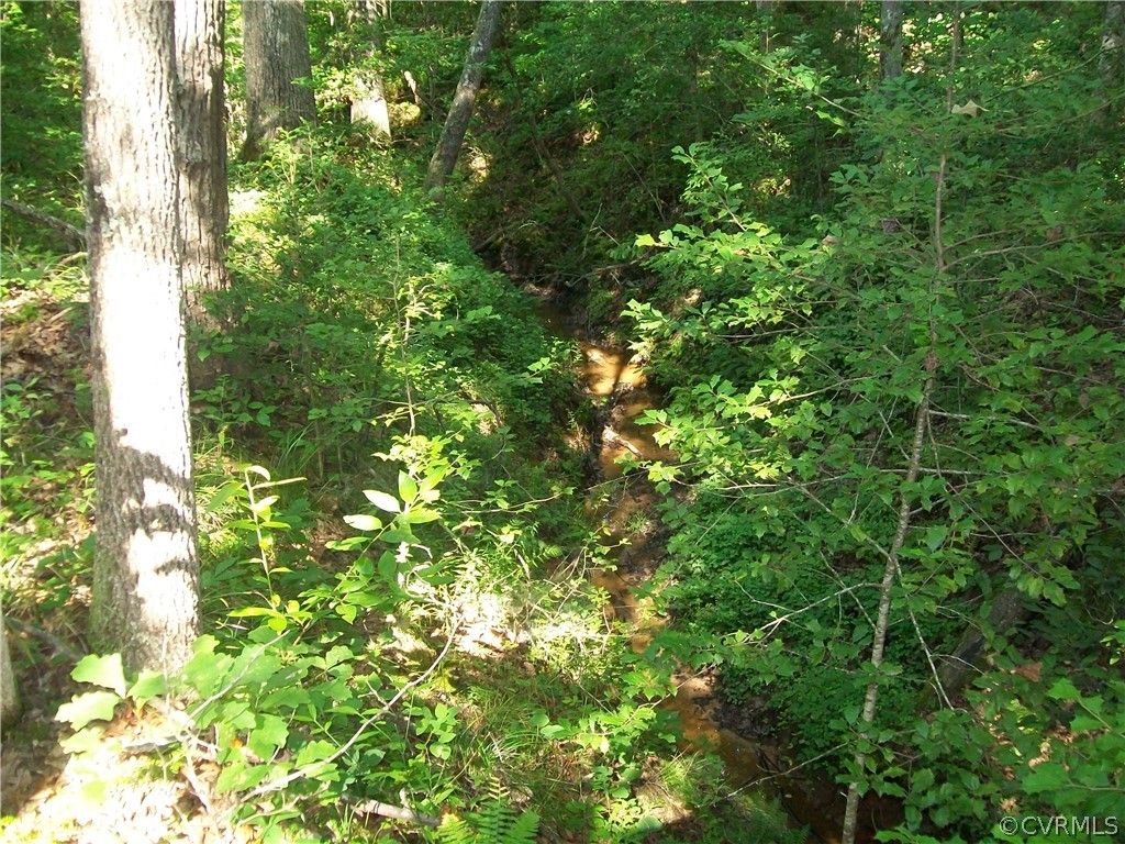 23516 Cherry Hill Road McKenney, VA 23872 - Photo 26 of 44