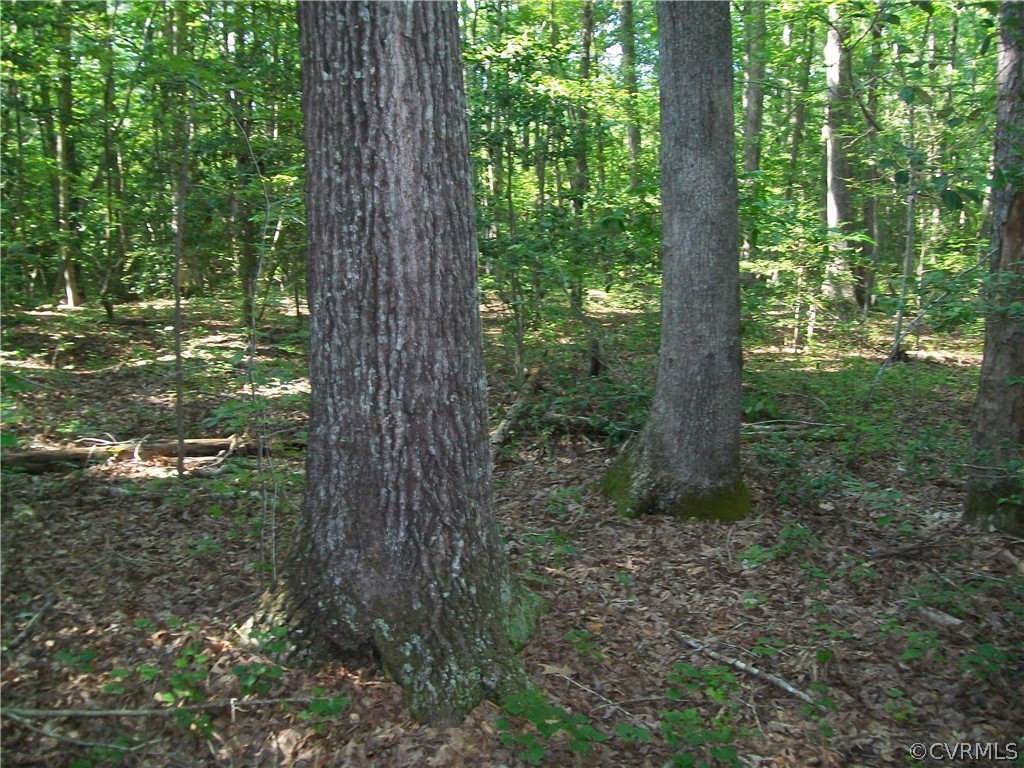23516 Cherry Hill Road McKenney, VA 23872 - Photo 28 of 44