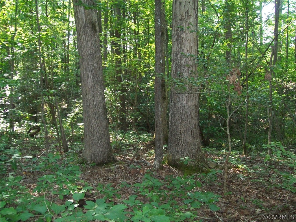 23516 Cherry Hill Road McKenney, VA 23872 - Photo 30 of 44
