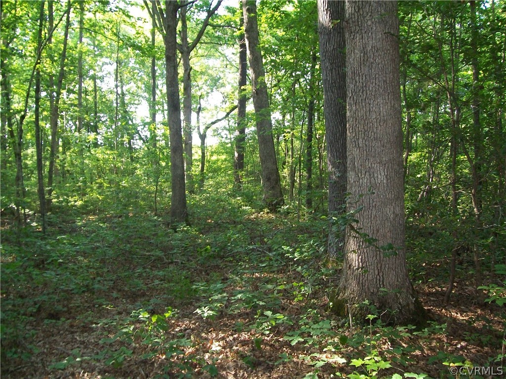 23516 Cherry Hill Road McKenney, VA 23872 - Photo 31 of 44
