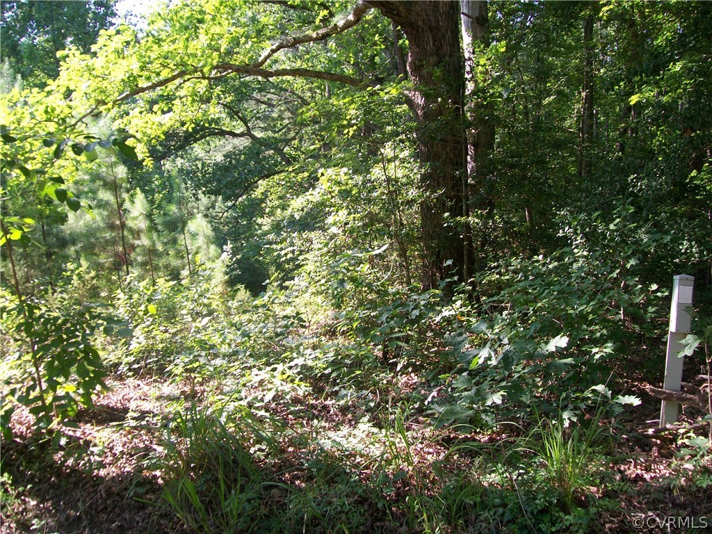 23516 Cherry Hill Road McKenney, VA 23872 - Photo 33 of 44