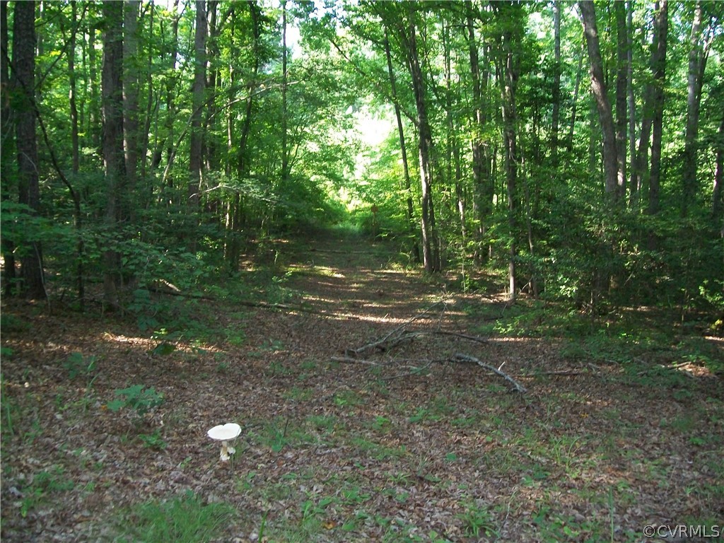 23516 Cherry Hill Road McKenney, VA 23872 - Photo 37 of 44