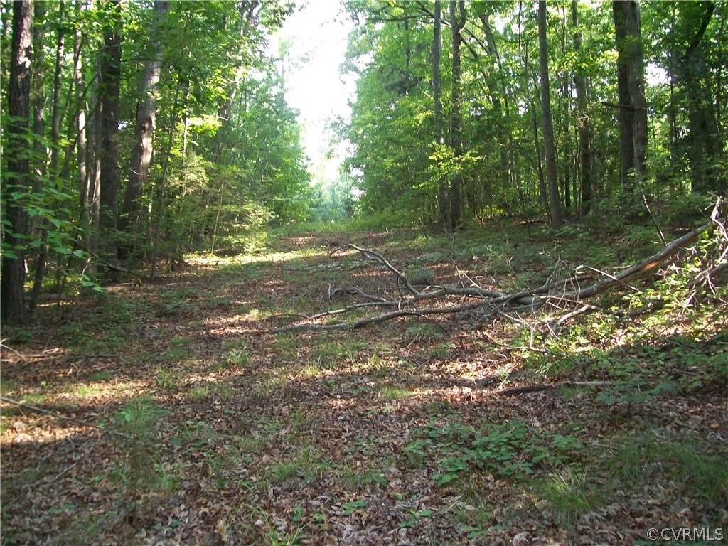 23516 Cherry Hill Road McKenney, VA 23872 - Photo 38 of 44