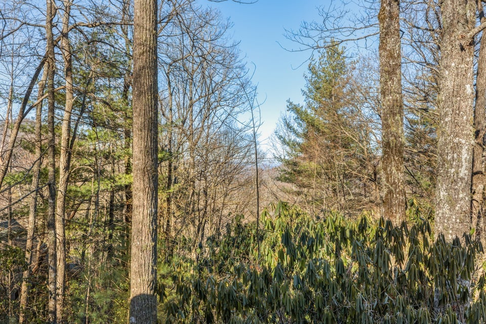 795 Buck Falls Road Highlands, NC 28741 - Photo 21 of 39 Rear deck with forest views offering privacy and seasonal mountain scenery