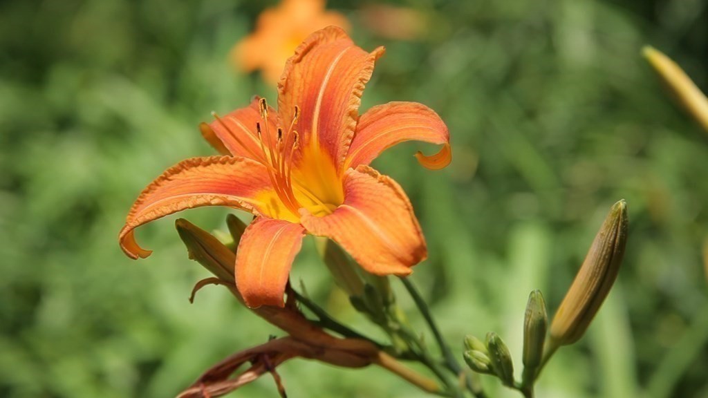 17 Cushing Street Hingham, MA 02043 - Photo 10 of 41 a view of a swimming pool