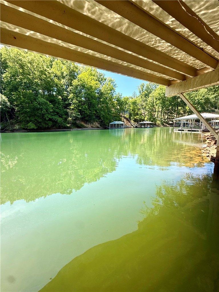 1200 Loran Pointe Circle Seneca, SC 29672 - Photo 17 of 29 This serene waterfront property offers direct access to tranquil waters, perfect for leisure and recreation.