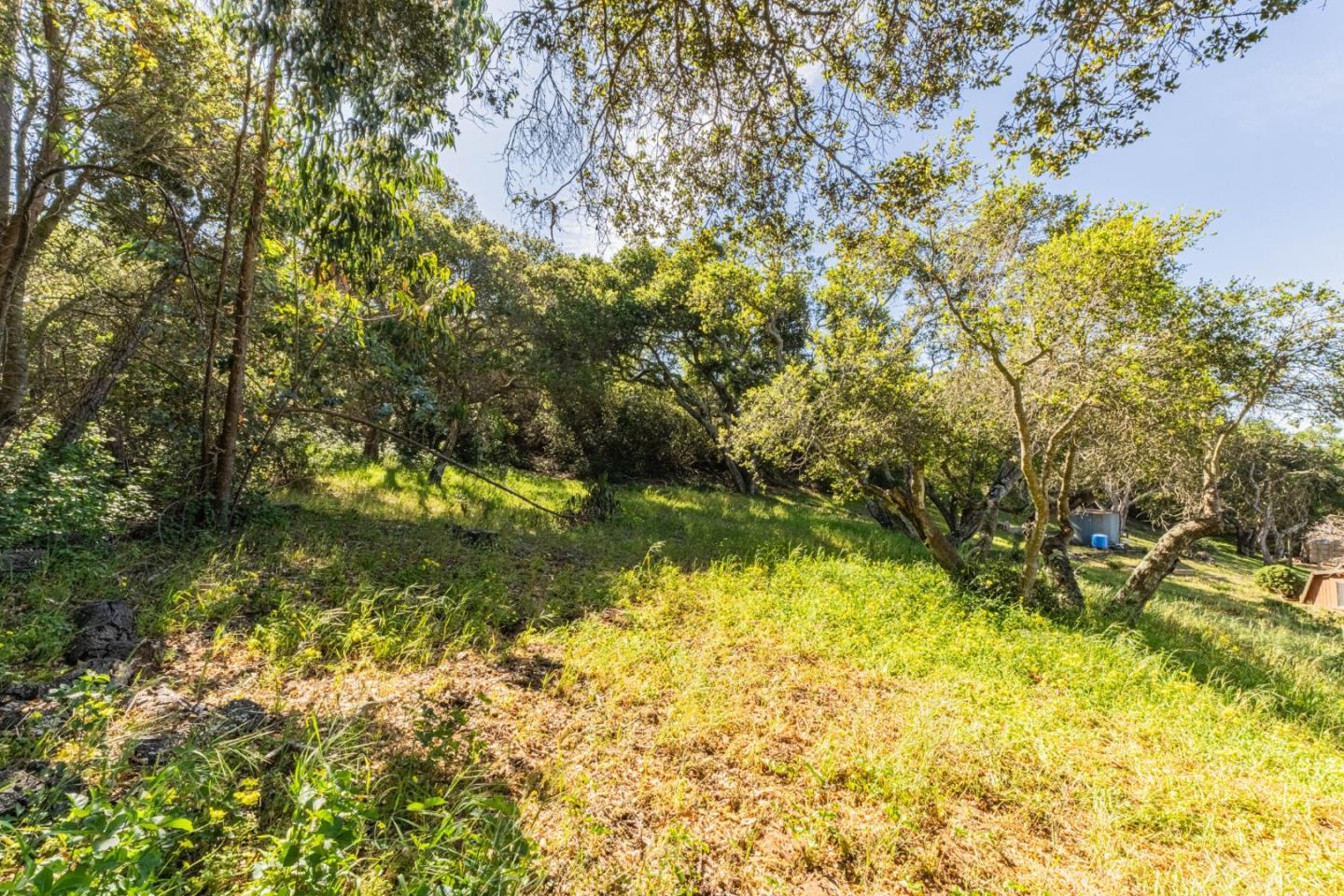 6959 Valle Pacifico Road Salinas, CA 93907 - Photo 33 of 45 a view of swimming pool from a yard