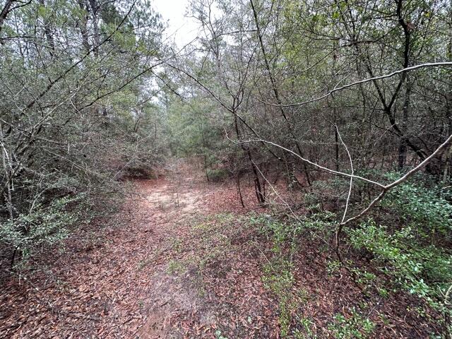 0 Pennington Road Crestview, FL 32539 - Photo 5 of 7 IMG_7379