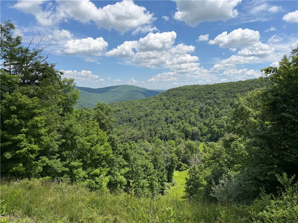 Vl Catatunk Road, Unit R Canisteo, NY 14823 - Photo 1 of 50