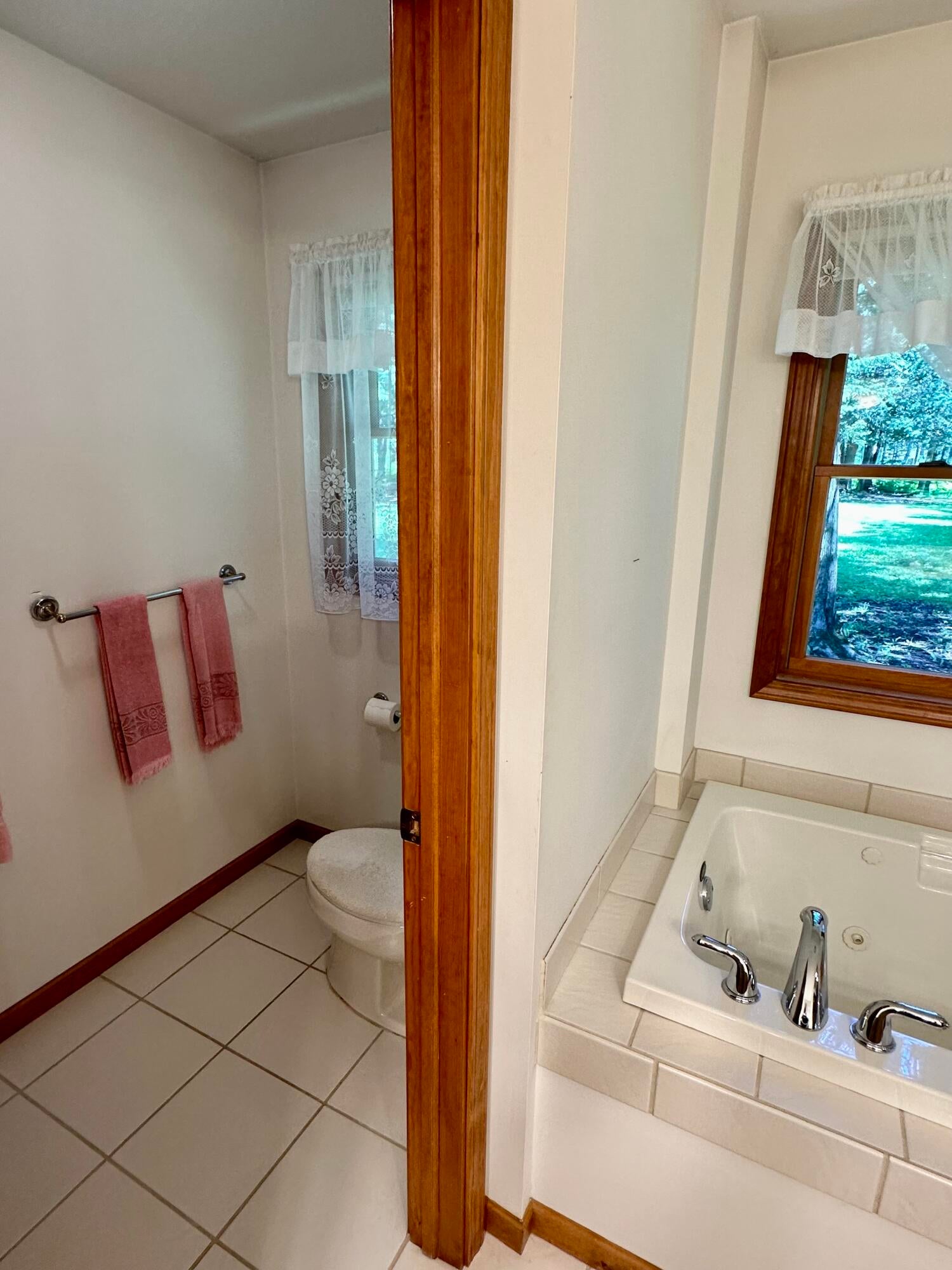 10085 Twin Bridge Road Grayling, MI 49738 - Photo 34 of 85 Gallery Image 34