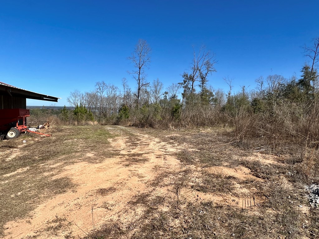 0 County Road 97 Abbeville, AL 36310 - Photo 27 of 53