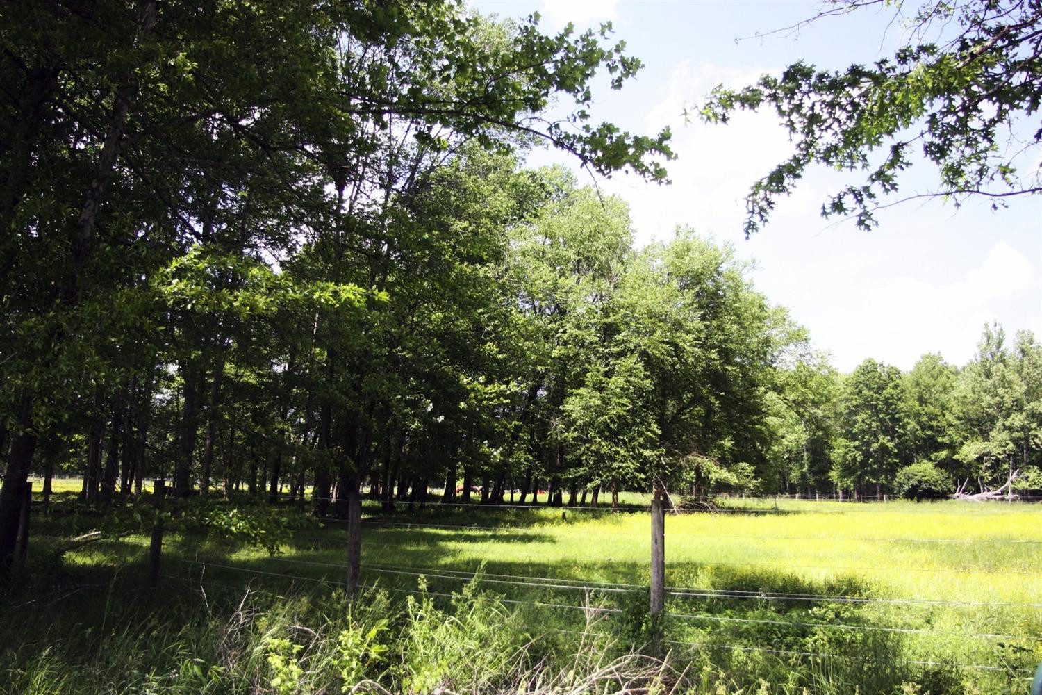 1179 Adams Ridge Road Clay City, KY 40312 - Photo 13 of 96 Photo 13