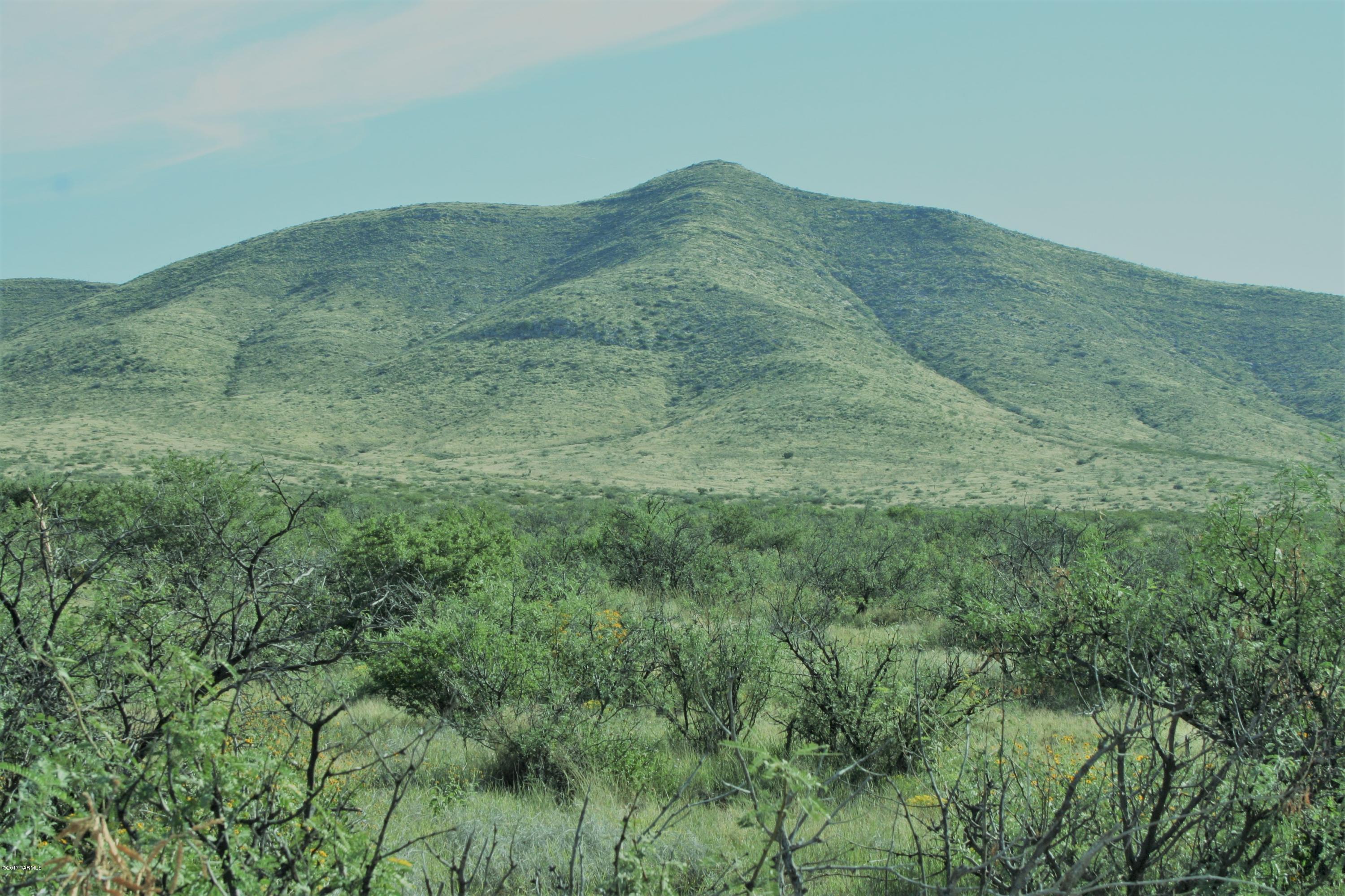 Tbd Victorio Road Dragoon, AZ 85609 - Photo 10 of 29