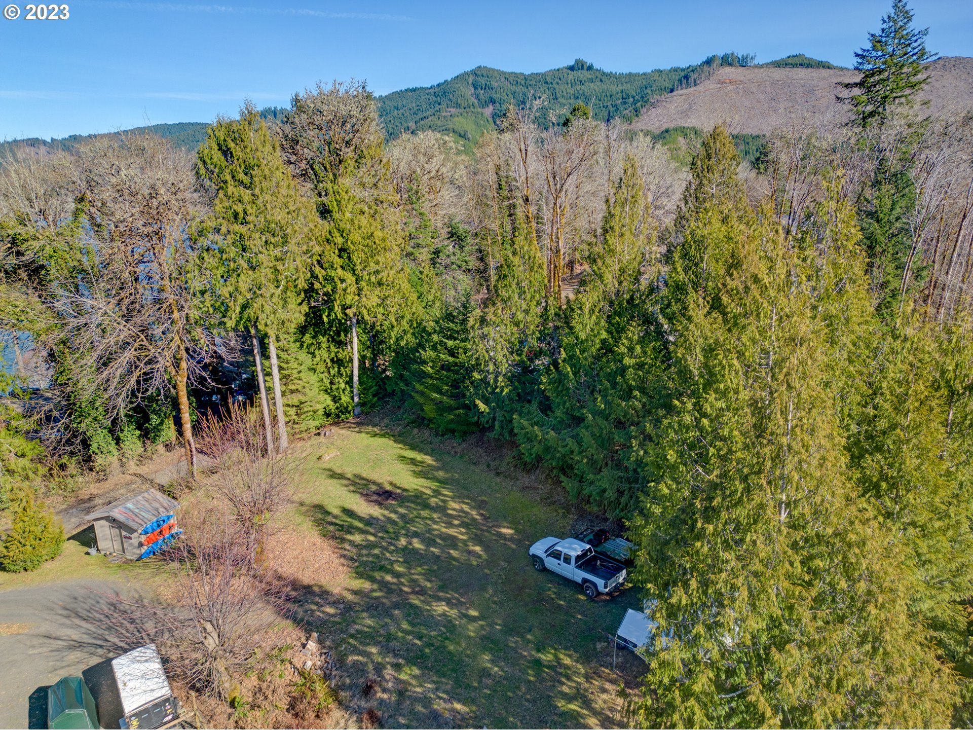 2 Lakes Lane Blachly, OR 97412 - Photo 6 of 12 a view of a forest with a tree
